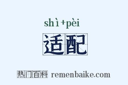 适配是什么意思的图片